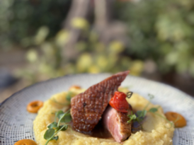 Le Mazet sous les platanes 