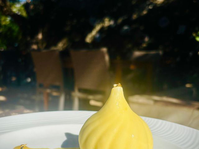 Le Mazet sous les platanes 